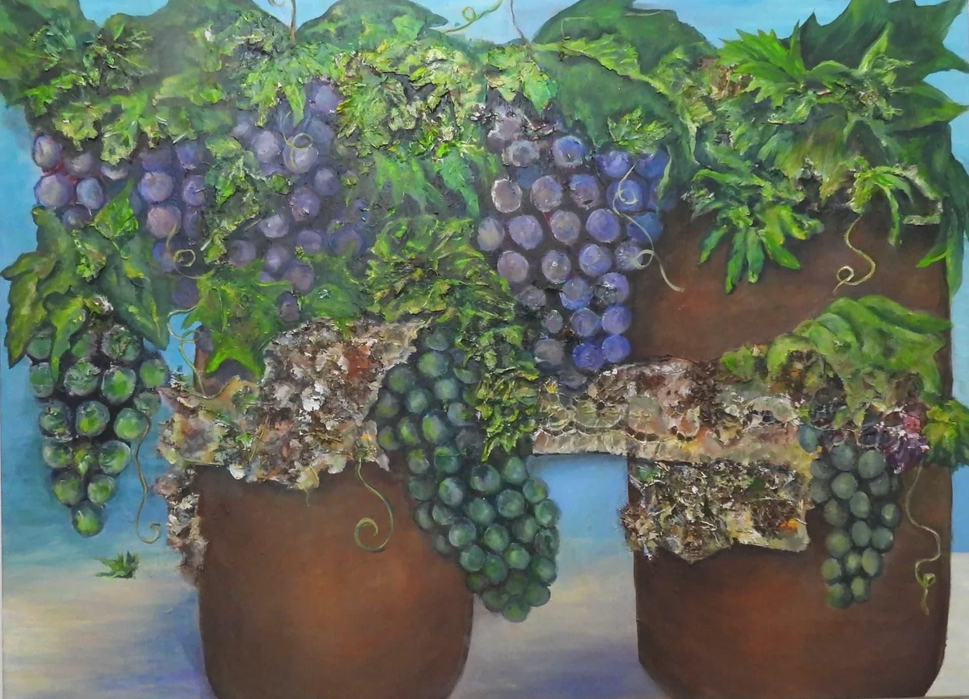 Grapes in Terracotta Pots