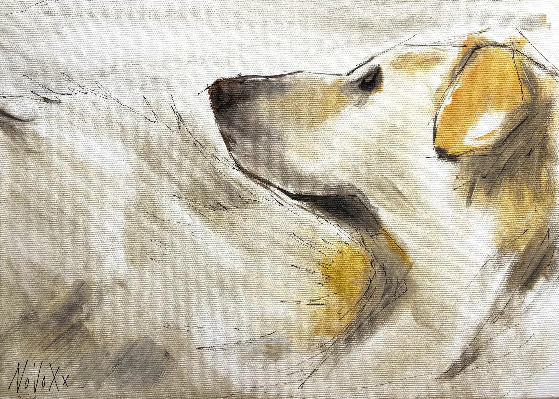 Quiet Dog Study