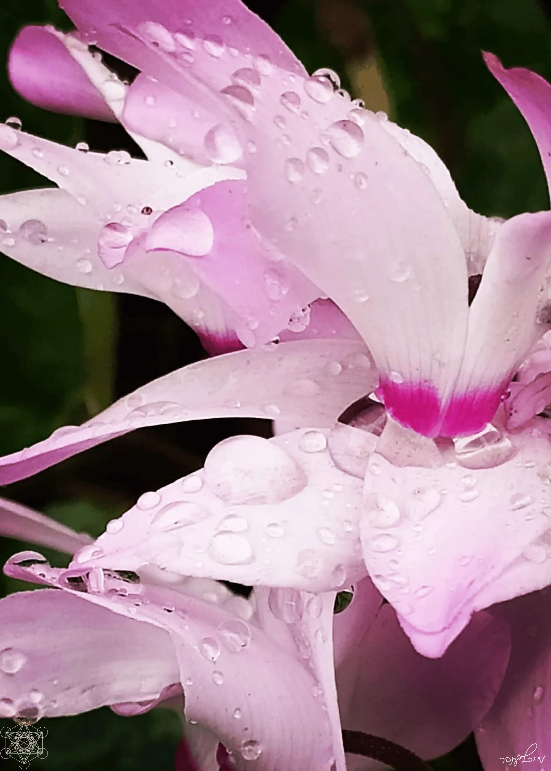 "Dripping with an Invisible Drop"
