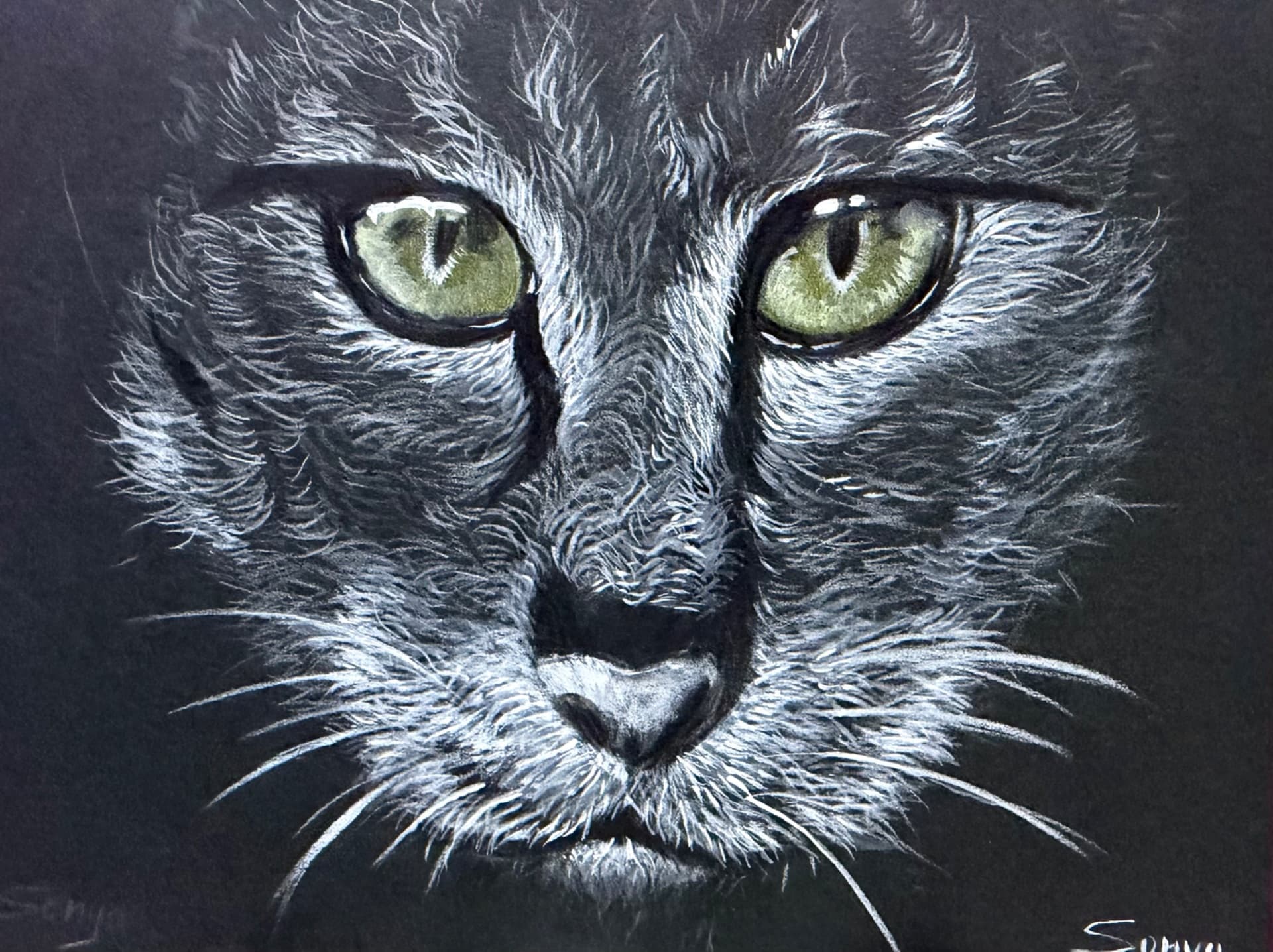 Eyes in the Dark