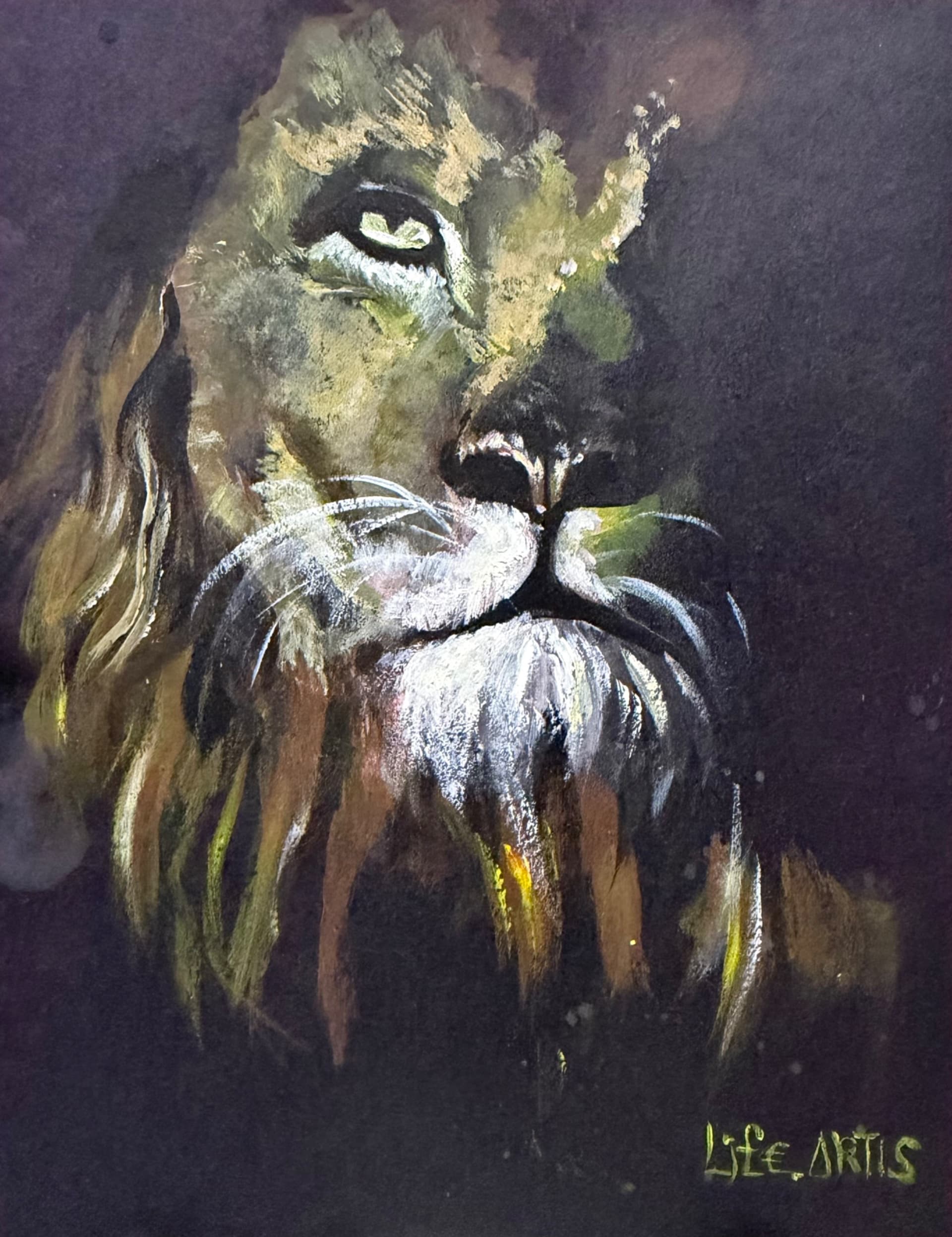 Lion in Shadow