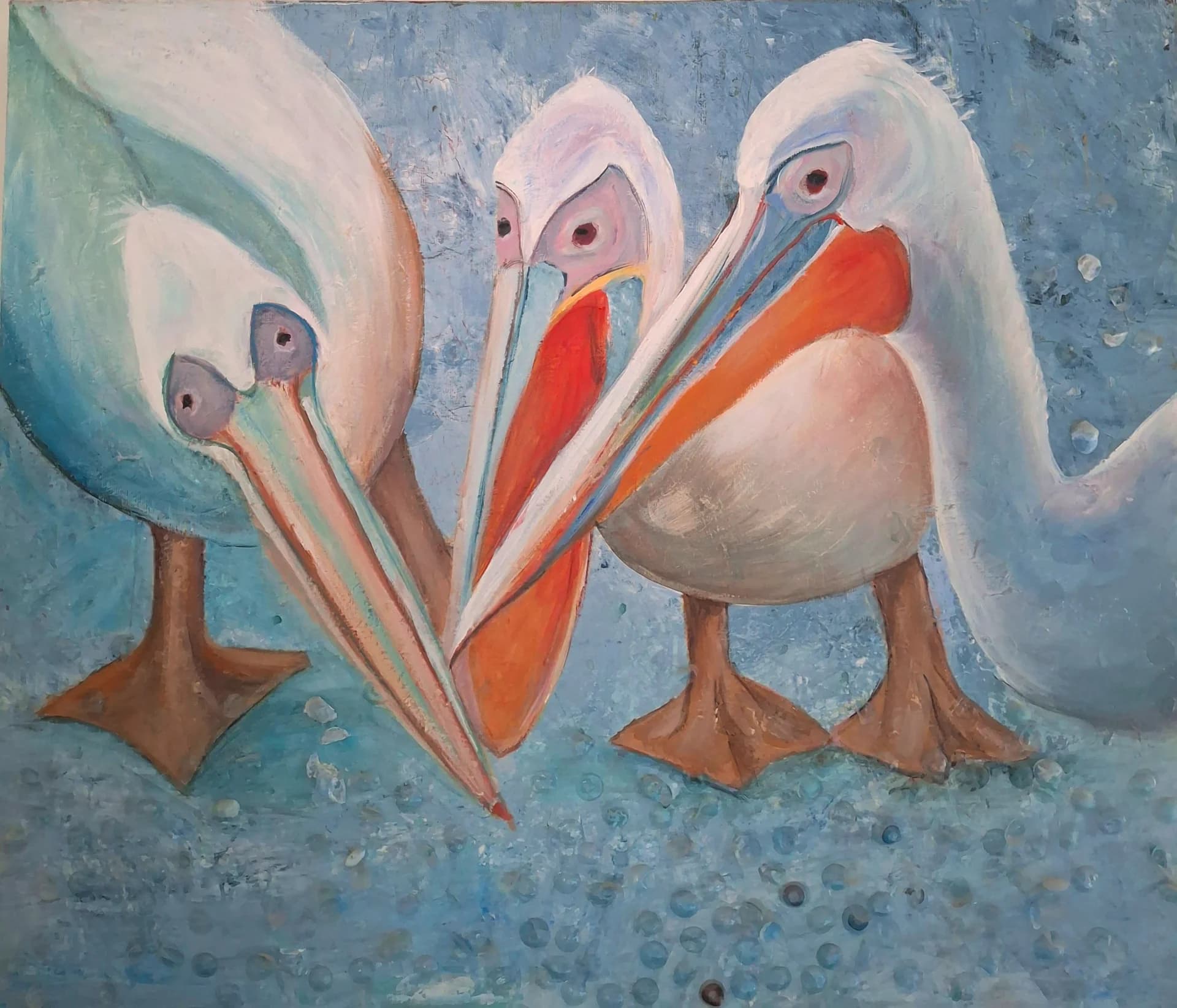 Pelican Gathering