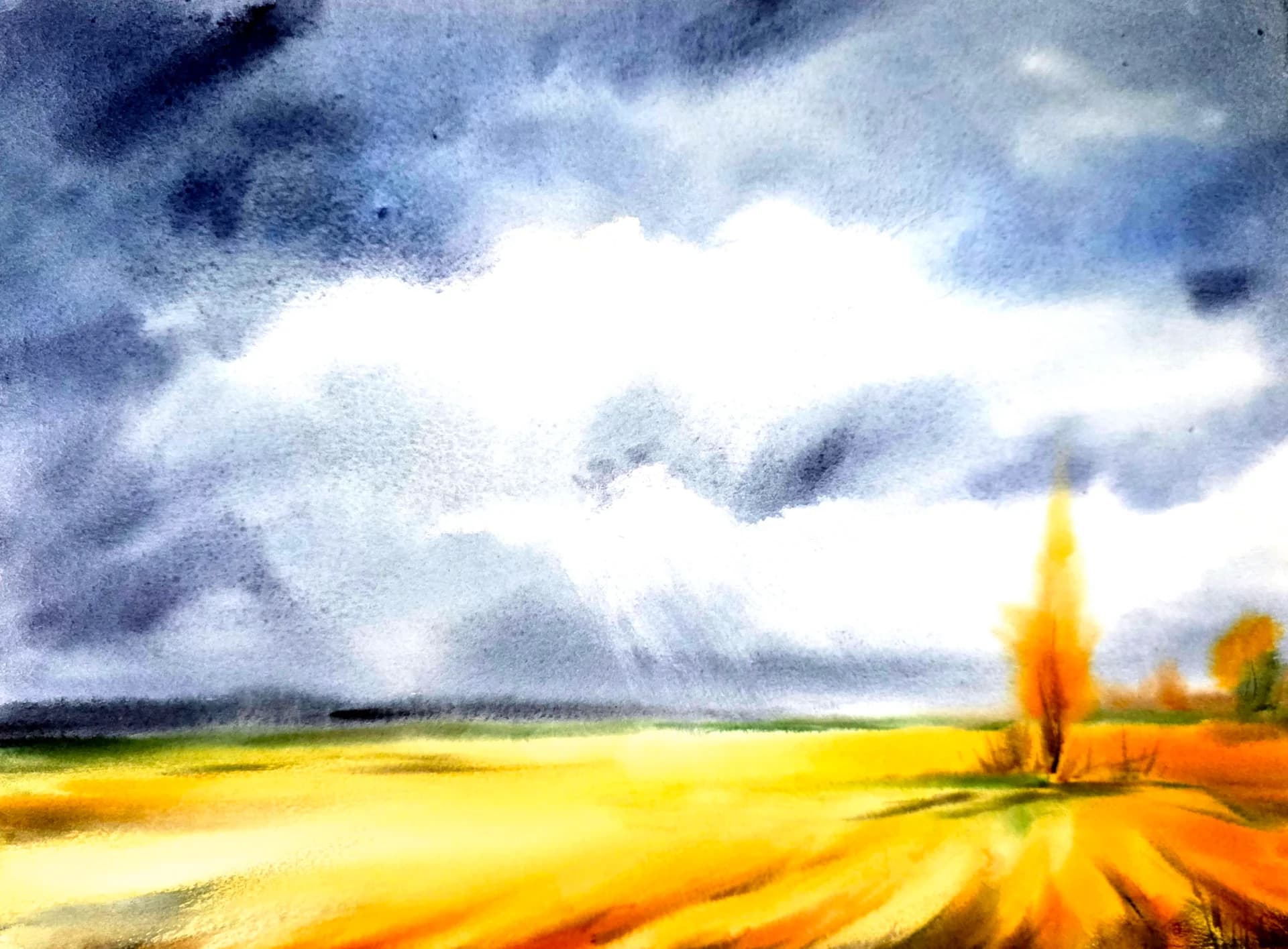 Fields Before the Storm