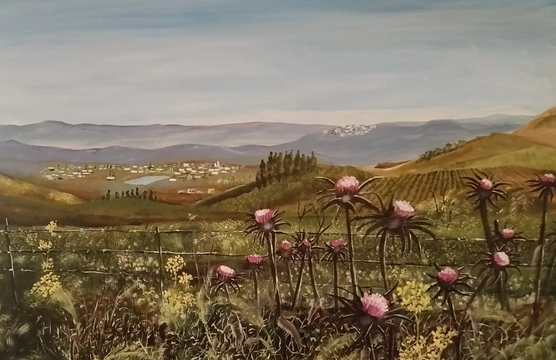 Thistles Overlooking the Yavne Valley