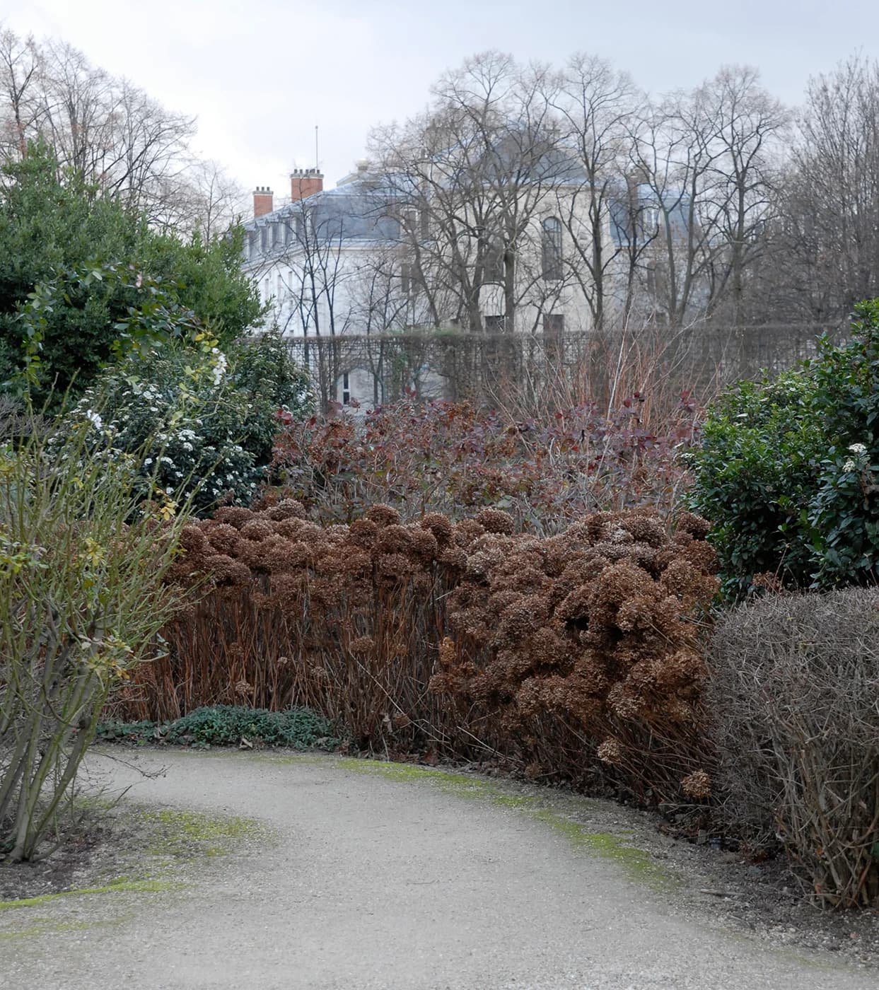 Through the Winter Garden