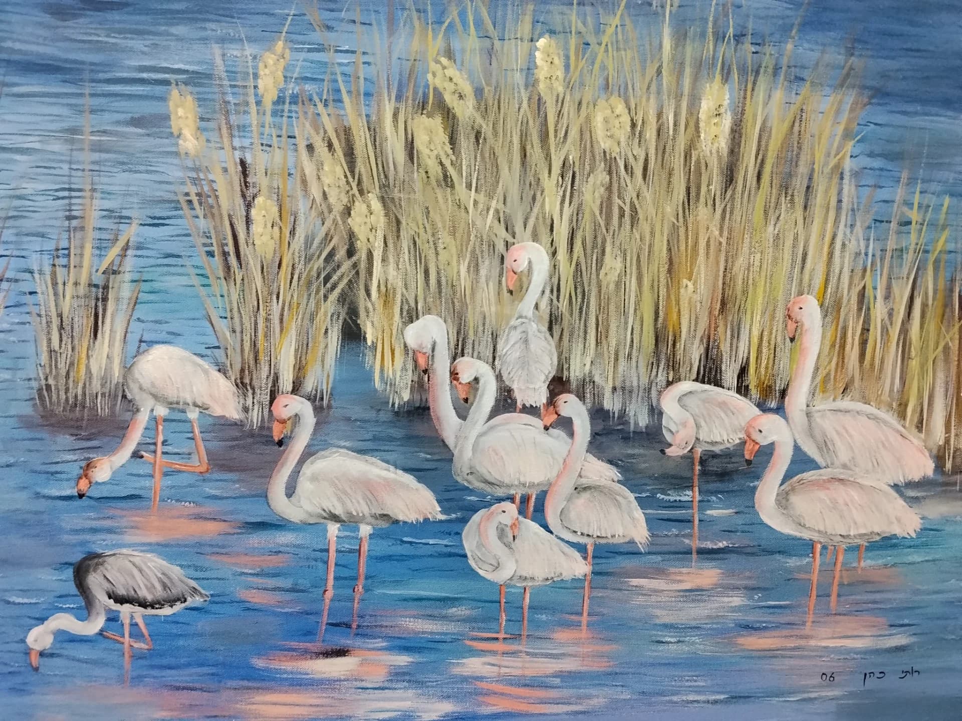 Flamingos Among the Reeds
