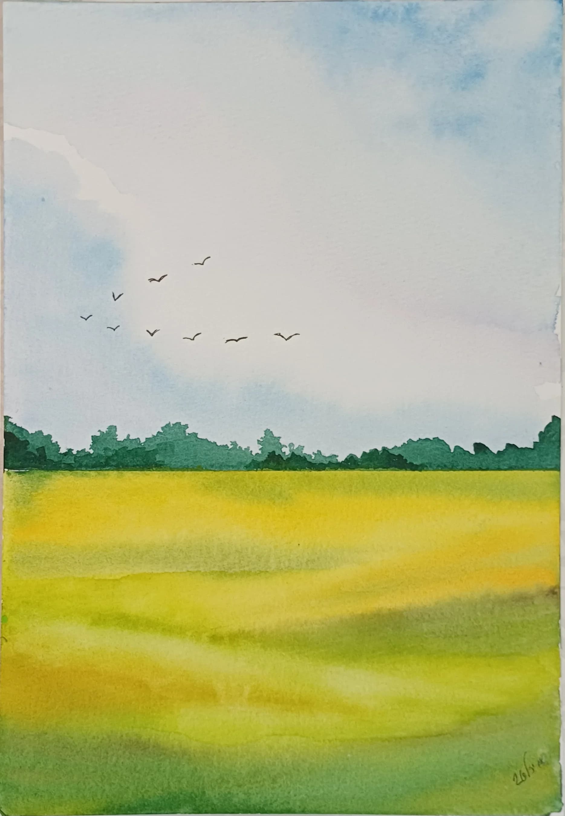 Flight Over Yellow Fields