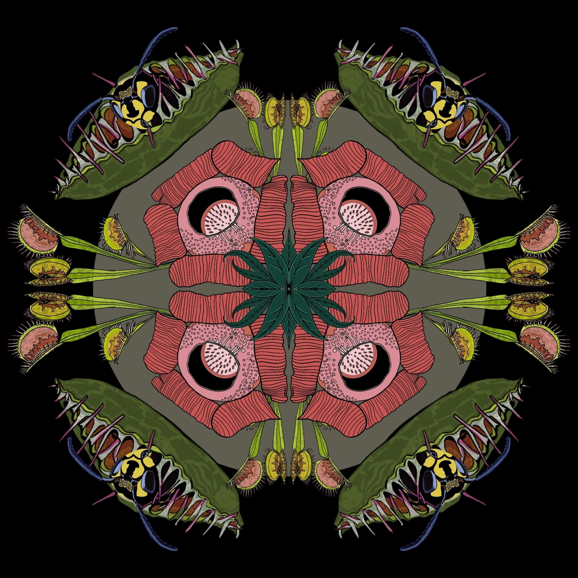 Predatory Symmetry