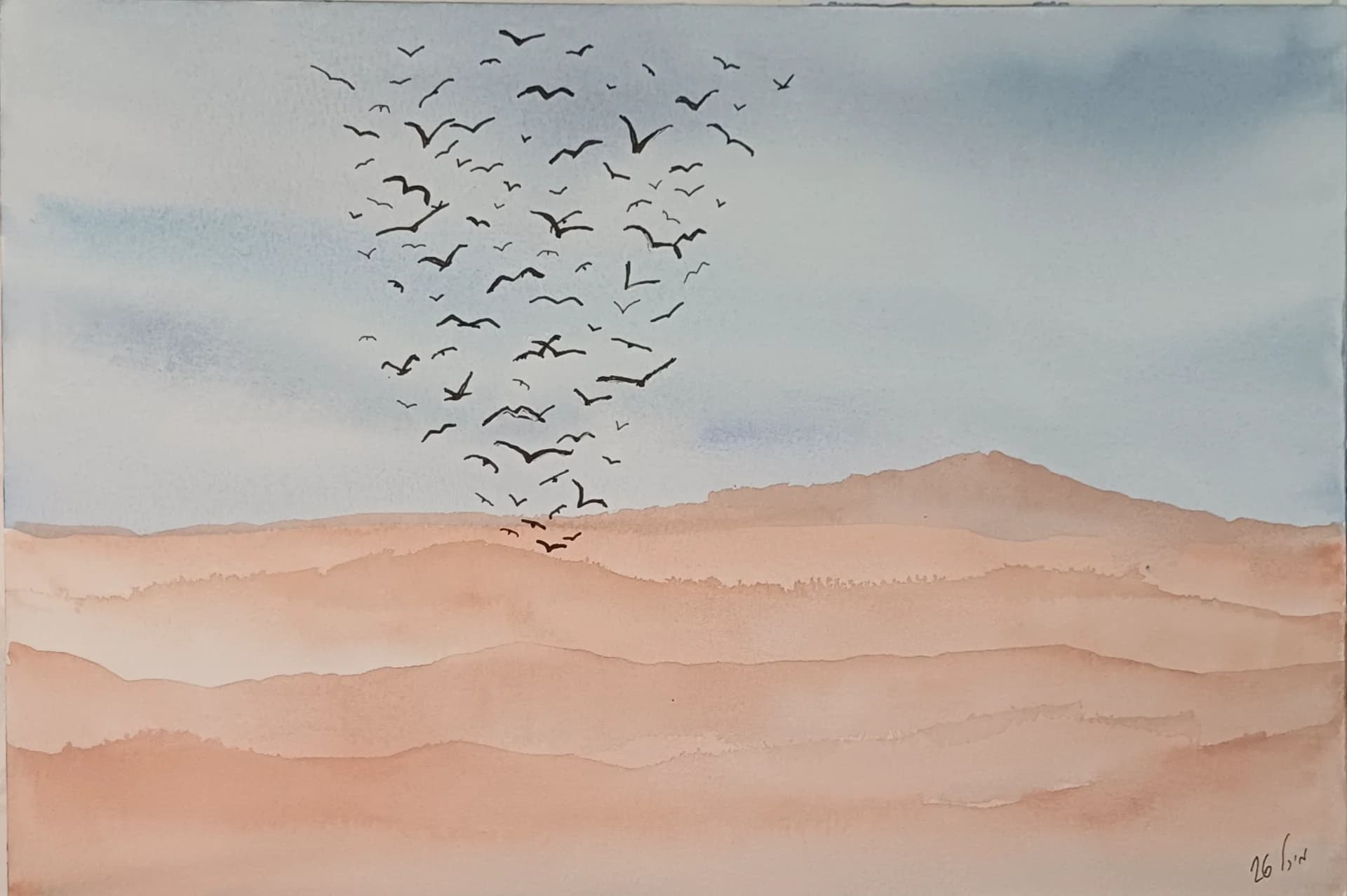 Flock Above Quiet Hills