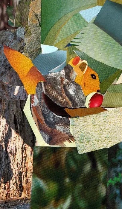 סנאי