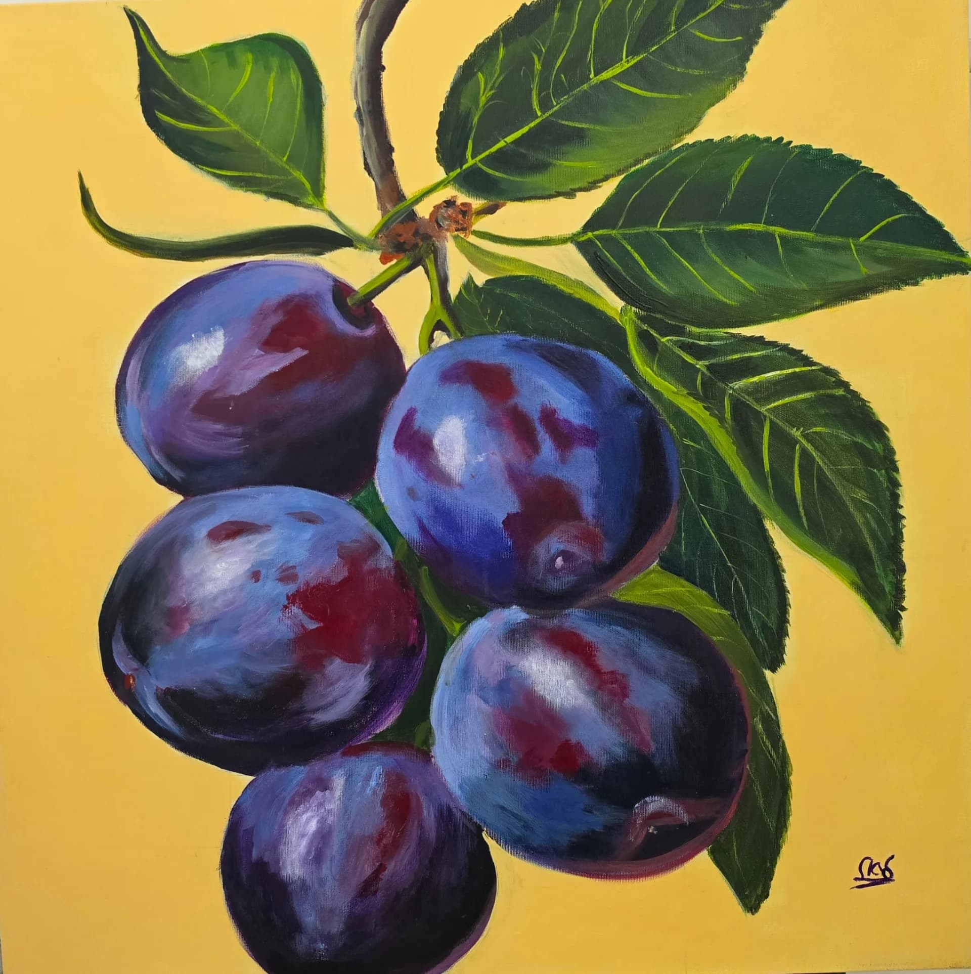 שזיפים באור זהוב