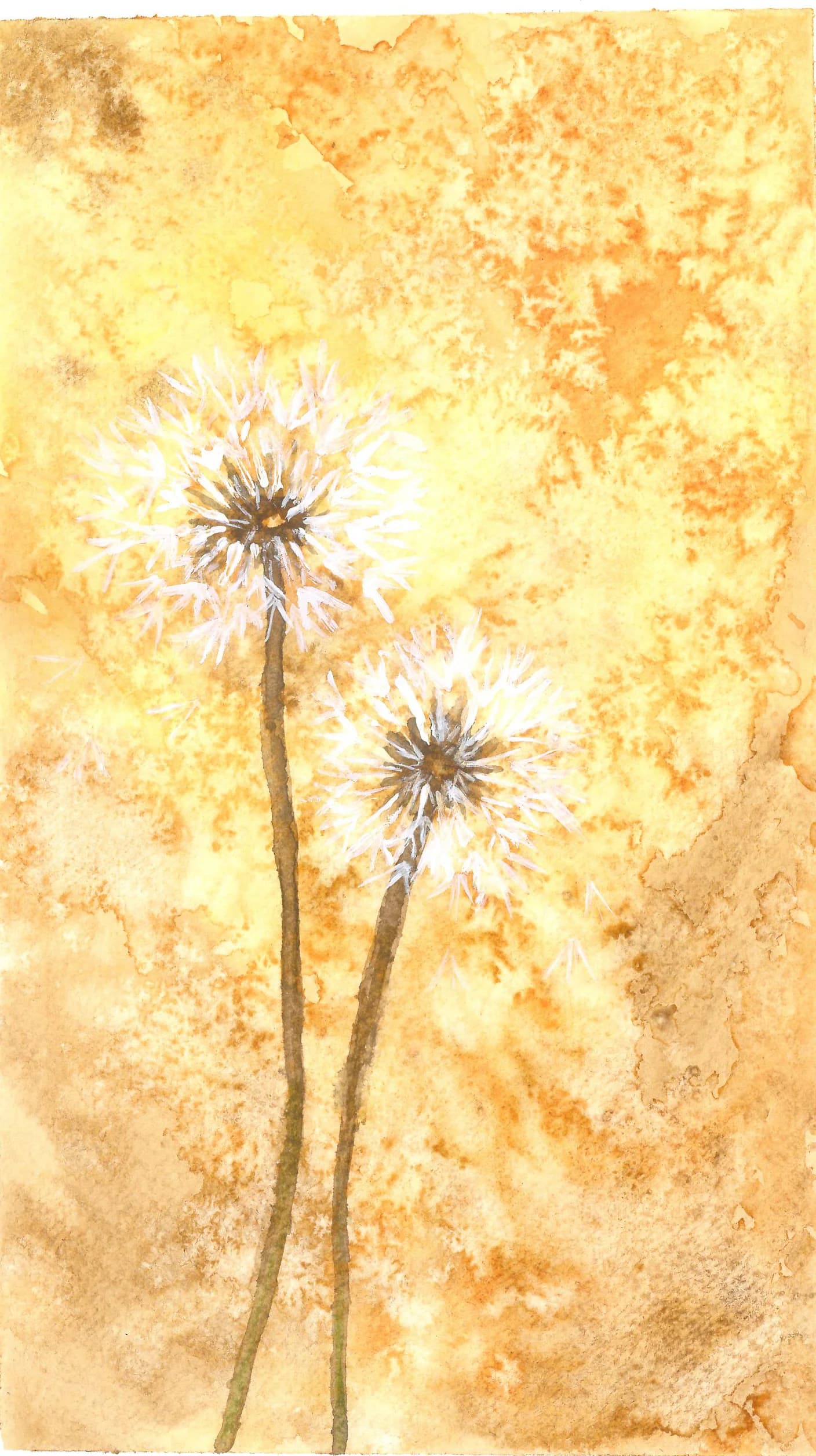 Wishes in the Wind