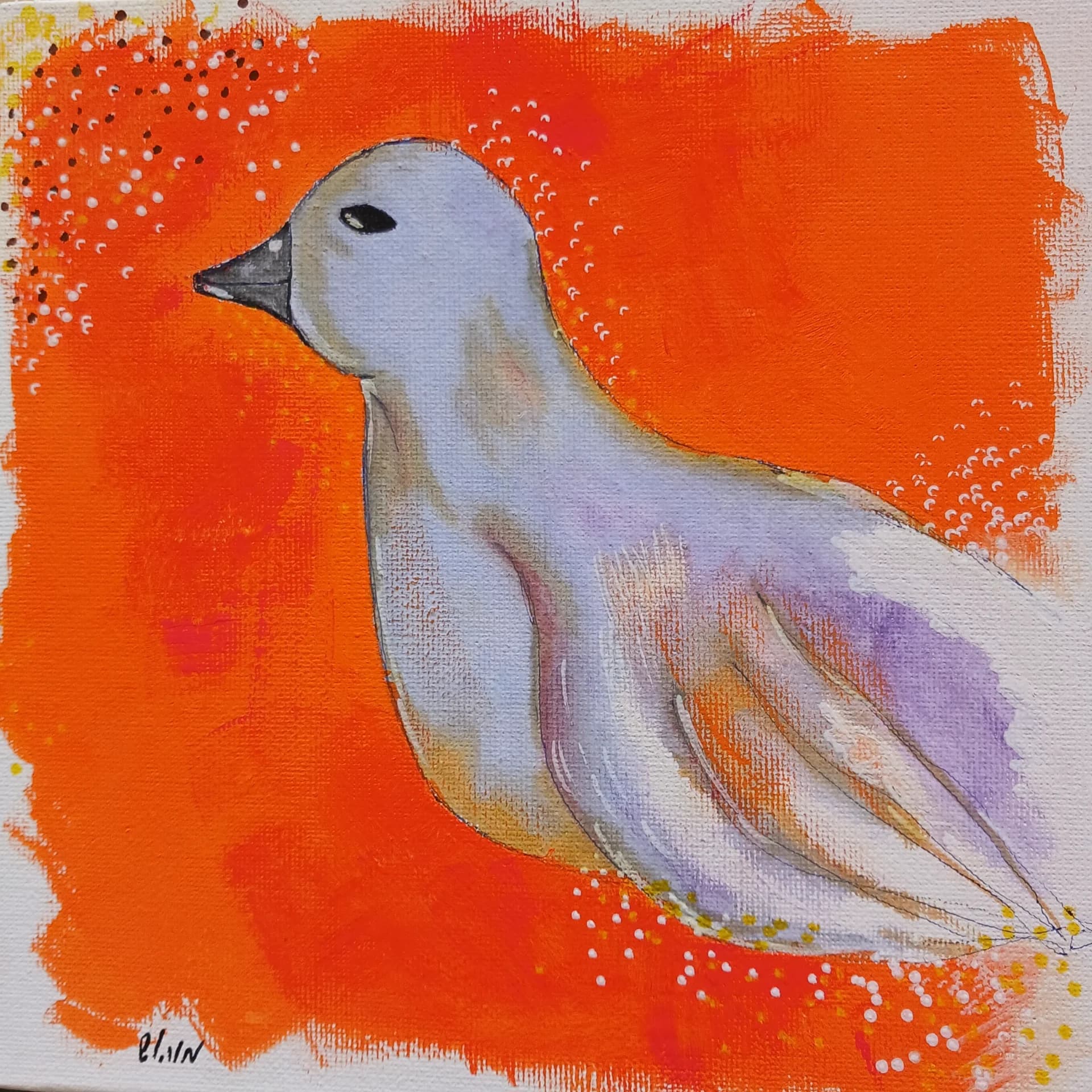 White Bird in Orange