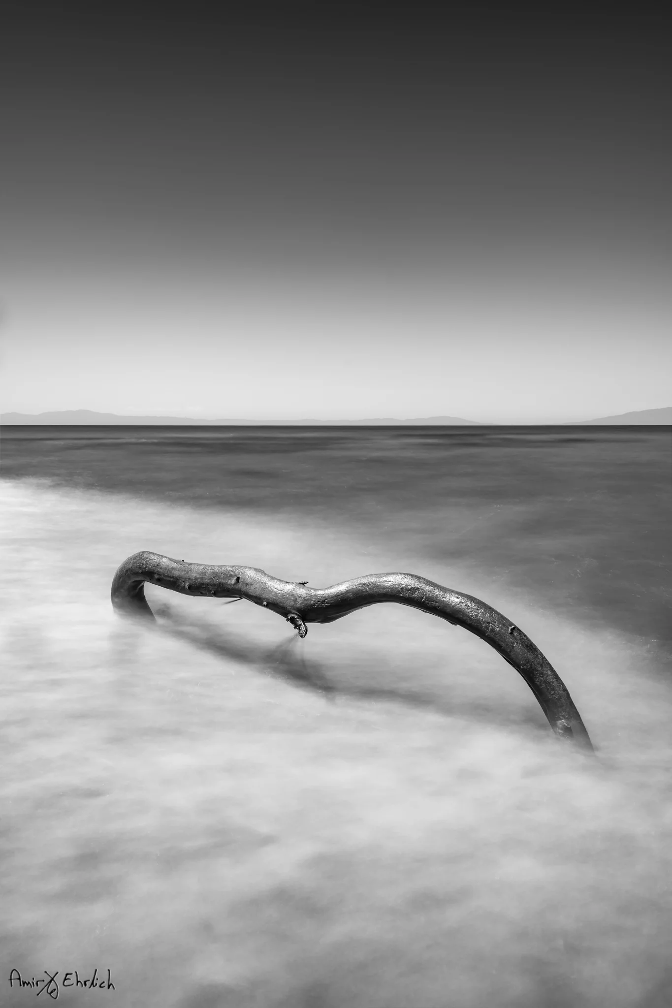 Driftwood in the Tide