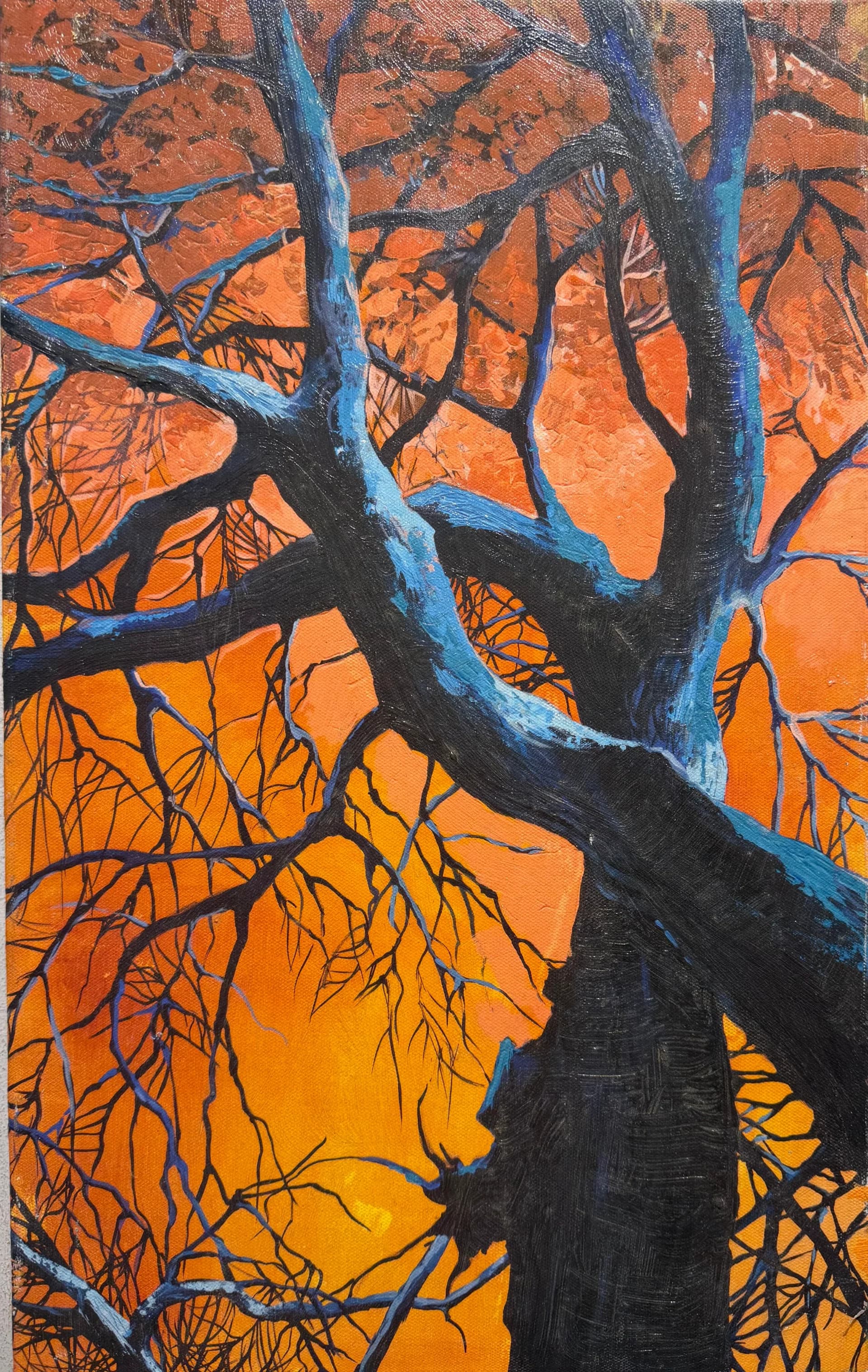 Trees in Ember Light