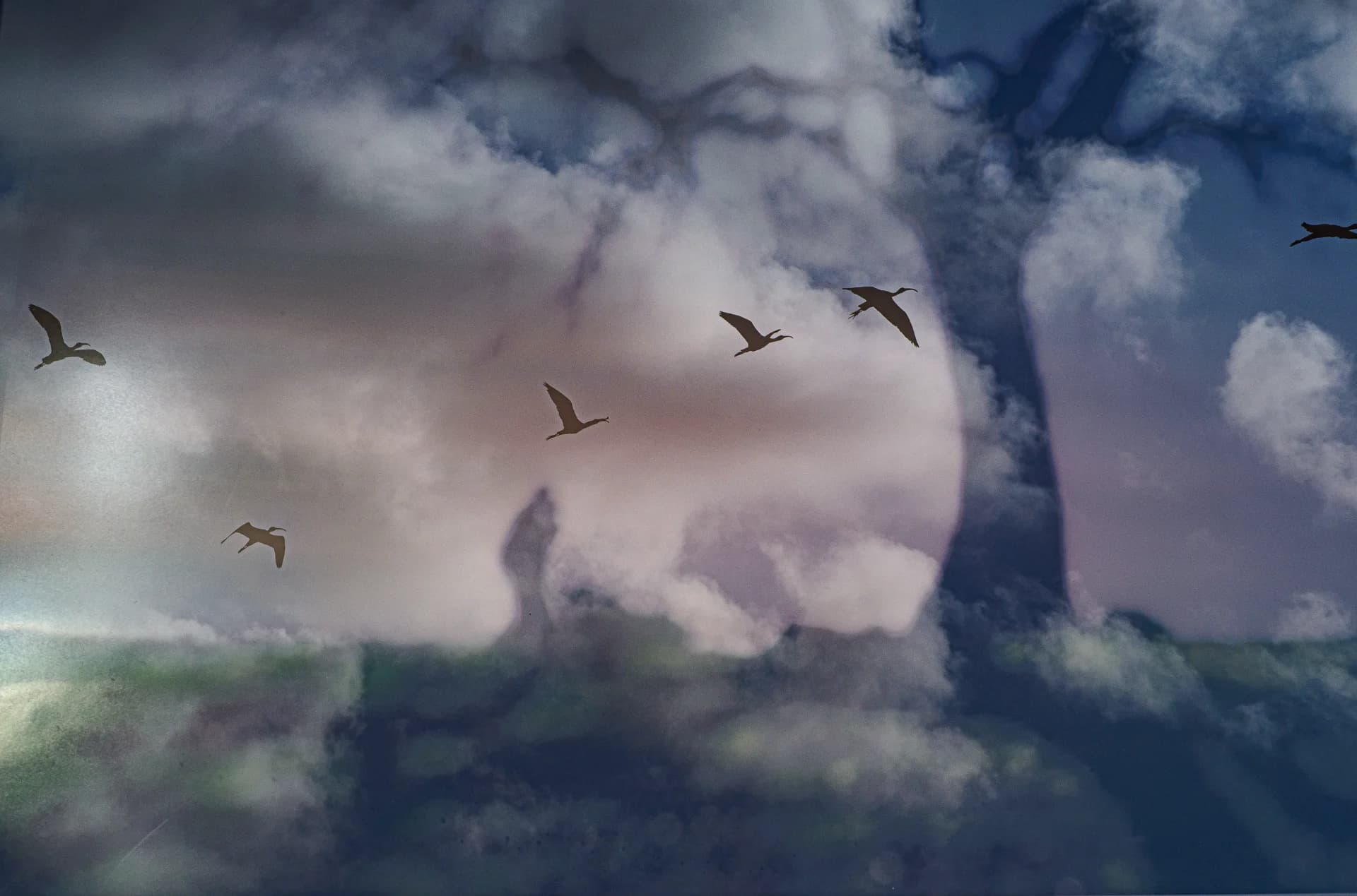 Dreams Between Heaven and Earth