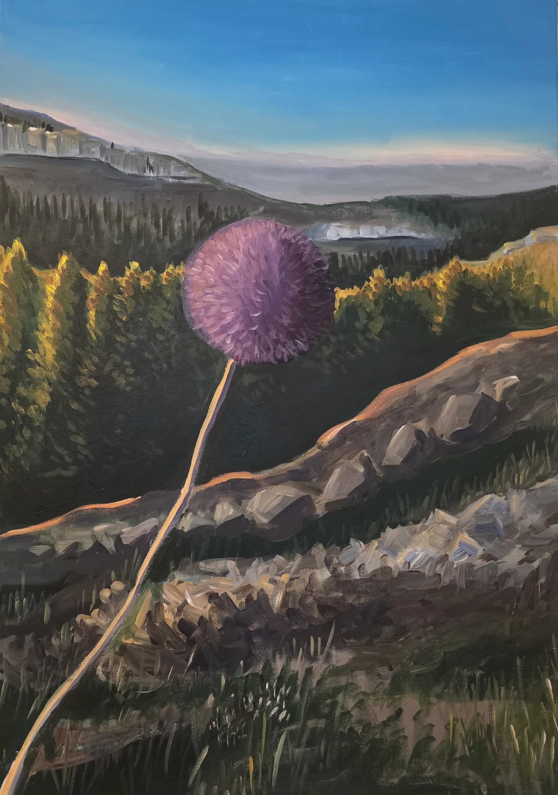 Bloom Above the Valley