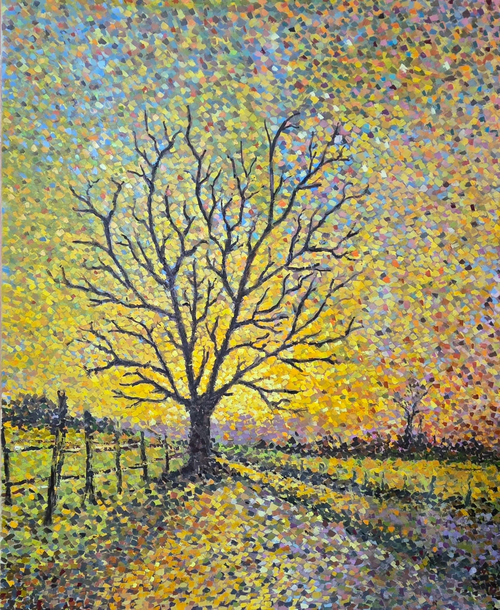Tree in Golden Light
